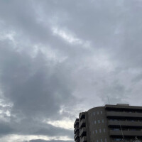 どんより空☁️