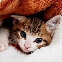 ✨✨今日も1日お疲れ様です✨✨