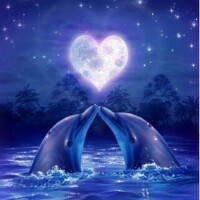 お疲れ様でした🌃