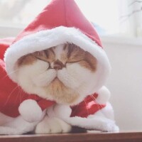 🎄🎄出勤しました🎄🎄