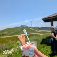 夕方からラストまで出勤です🐾