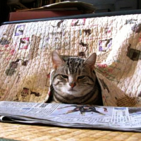 みかん食べました🍊