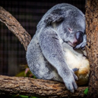 おやすみなさい😴