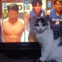 お邪魔だな～🙀