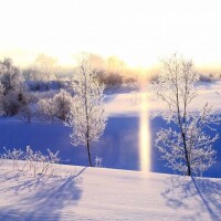 🎄🎄おはようございます🎄🎄