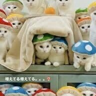 ❄️❄️出勤しました❄️❄️