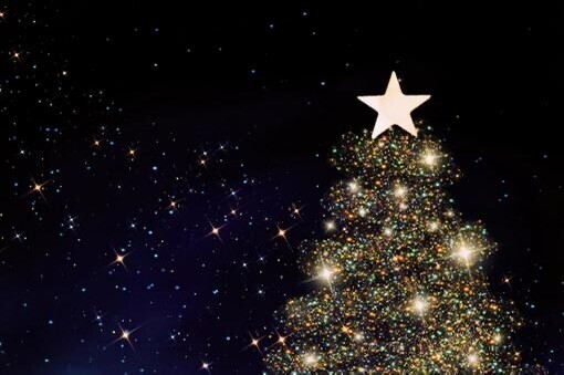 🎄🎄本日もありがとうございました🎄🎄