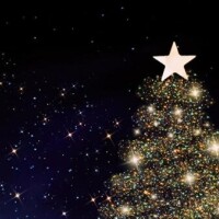 🎄🎄本日もありがとうございました🎄🎄