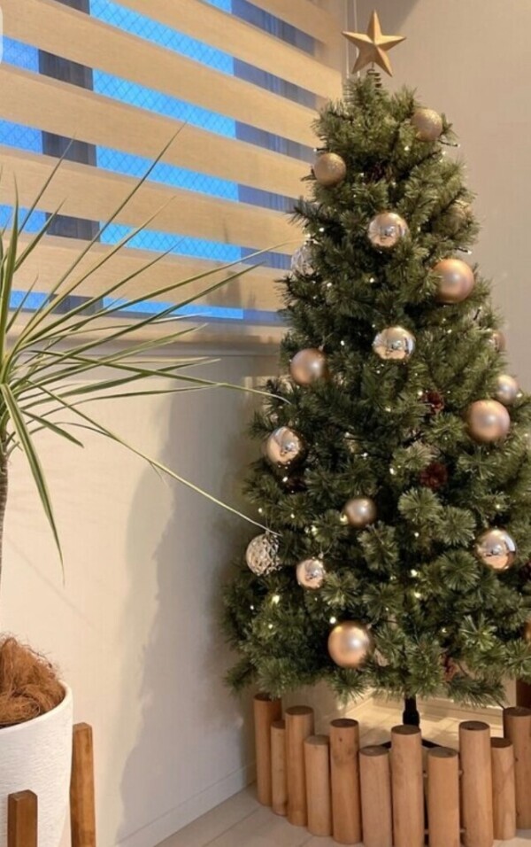 ✨🪷⛄🎄✨🪷✨