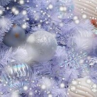 ✨✨おはようございます✨✨