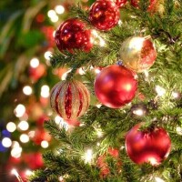 クリスマスイブ🎄