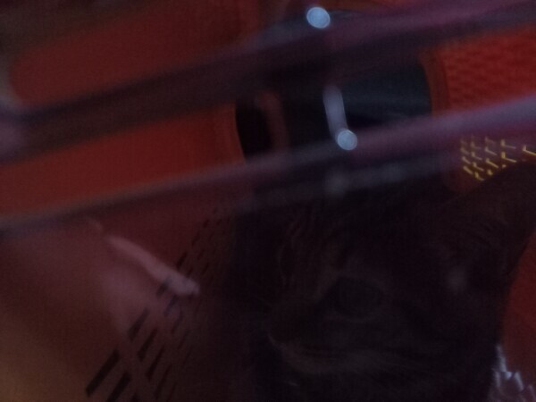 動物病院到着🙀