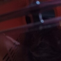 動物病院到着🙀