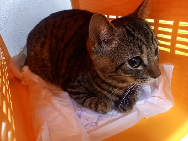 安定の待ち時間🙀