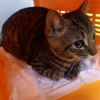 安定の待ち時間🙀