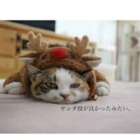 🎄🎄メリークリスマス🎄🎄