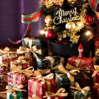 メリークリスマス🎅