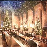 ハリーポッターと東野の記憶