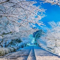 ✨✨出勤しました✨✨