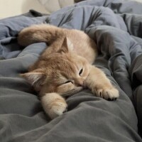 出勤しました☀