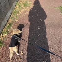 (土)オヤツ手前から出勤です🤗