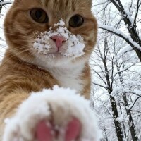 出勤しました🥶