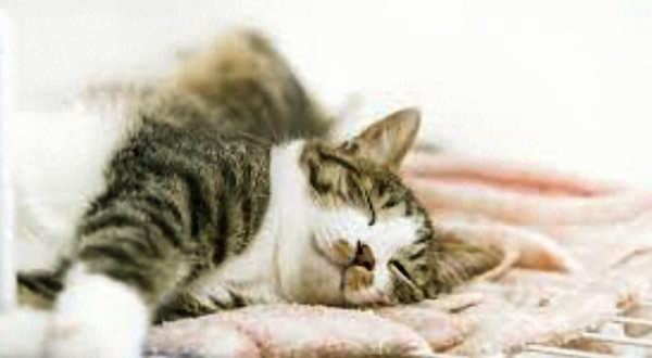 おやすみなさい🌛