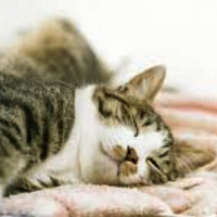 おやすみなさい🌛