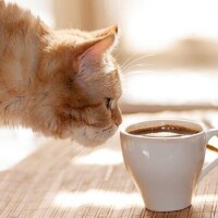 ✨✨おはようございます✨✨