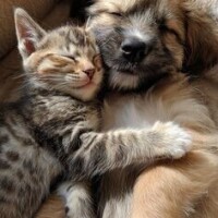 おはようございます☀️