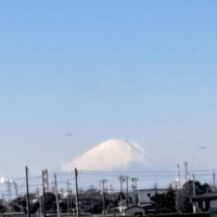 こんにちは☀️