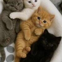 出勤しました❄