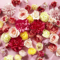 ありがとうございました♥️