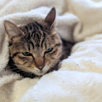 ❄️❄️おはようございます❄️❄️