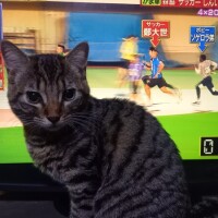 う～ん😾
