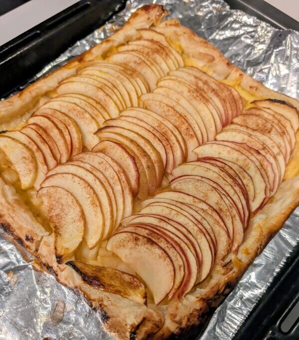 本日も午後から出勤です🐾