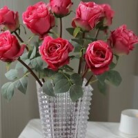 ✨🪷楽しい一時を🪷✨