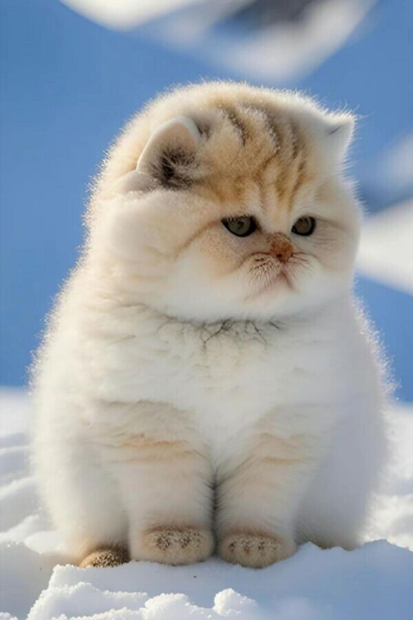 本日お休みです😃