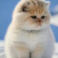 本日お休みです😃