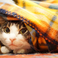 ✨✨おはようございます✨✨