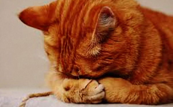 洗濯終わりー🧺