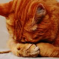 洗濯終わりー🧺