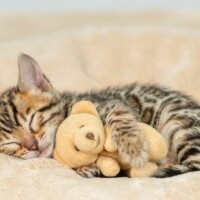 ✨✨大晦日✨✨