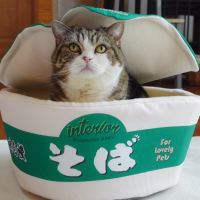 今年もお世話になりました🌿