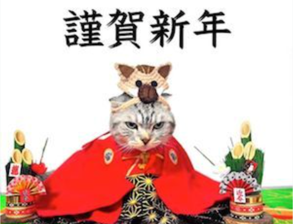 明けましておめでとうございます🎍✨