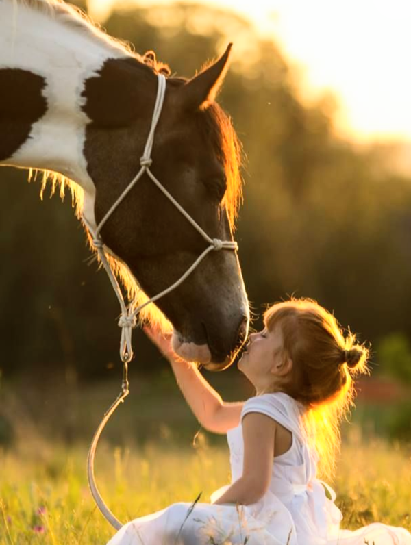 お正月の予定は？