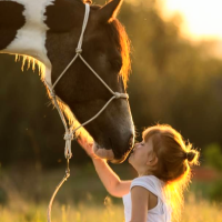 お正月の予定は？