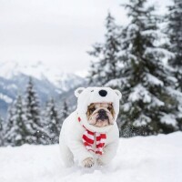 🎀明けましておめでとうございます🎀