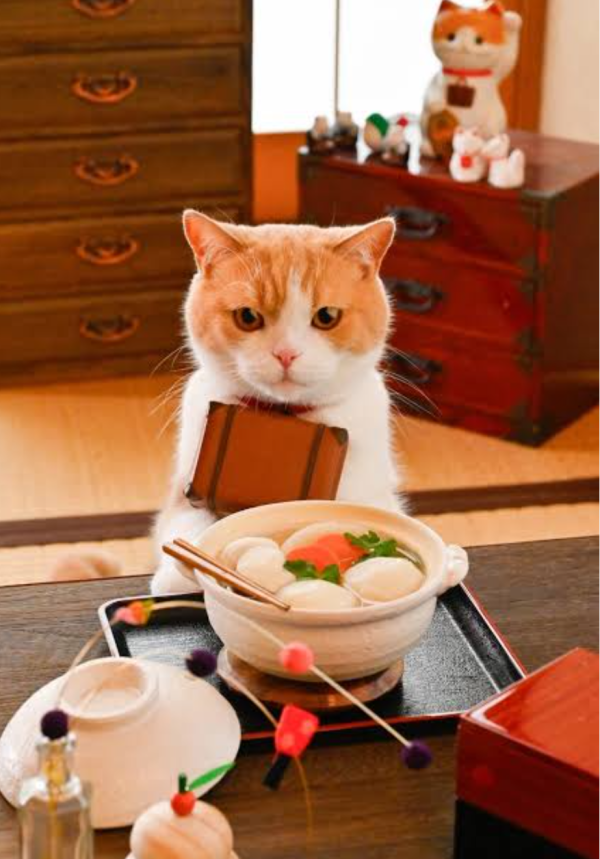 本日朝から出勤です🐾