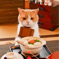 本日朝から出勤です🐾